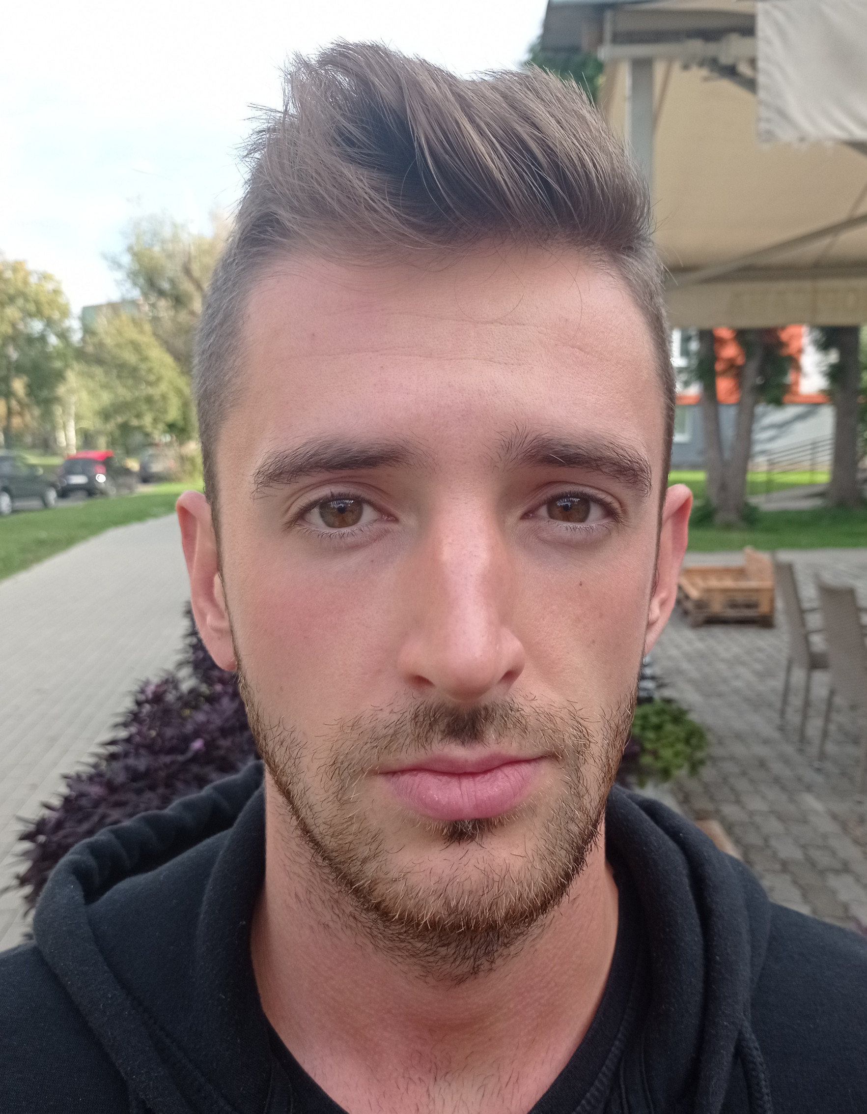 Darázs David