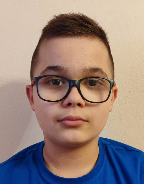 Paliesek David
