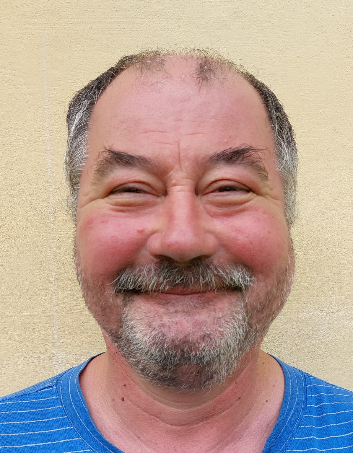 Láni Pavel
