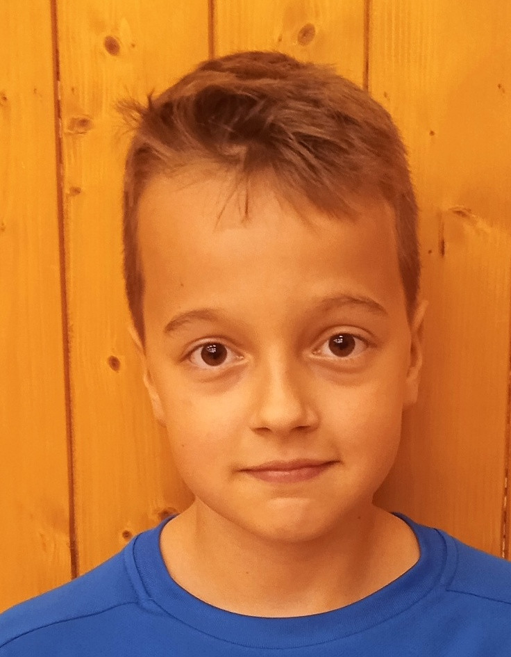 Štefanec Dominik