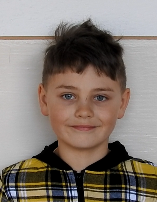 Strišovský Vladimír