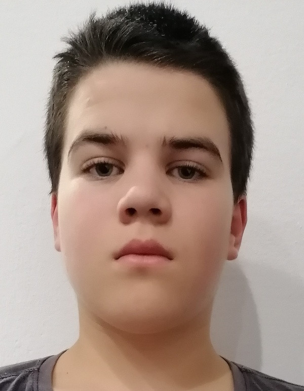Voštiar Dominik
